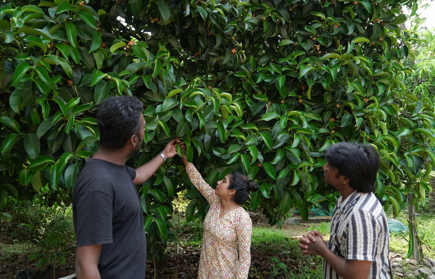 best farmstay in ernakulam