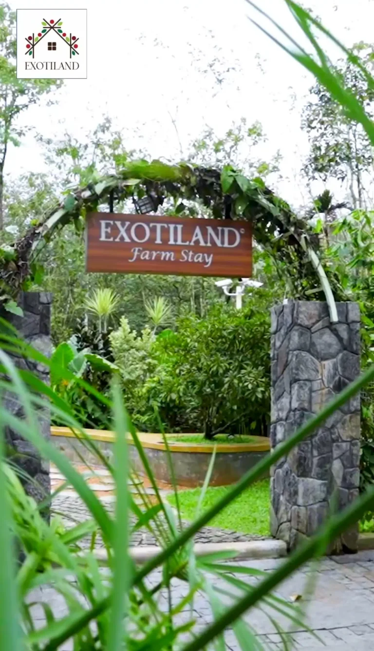 exotiland-farmstay-why homestay