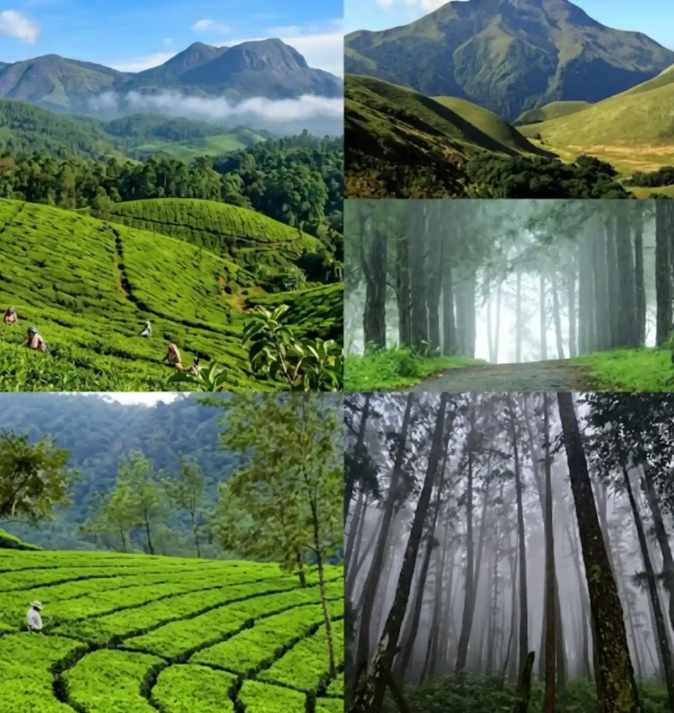 things to do near idukki dam