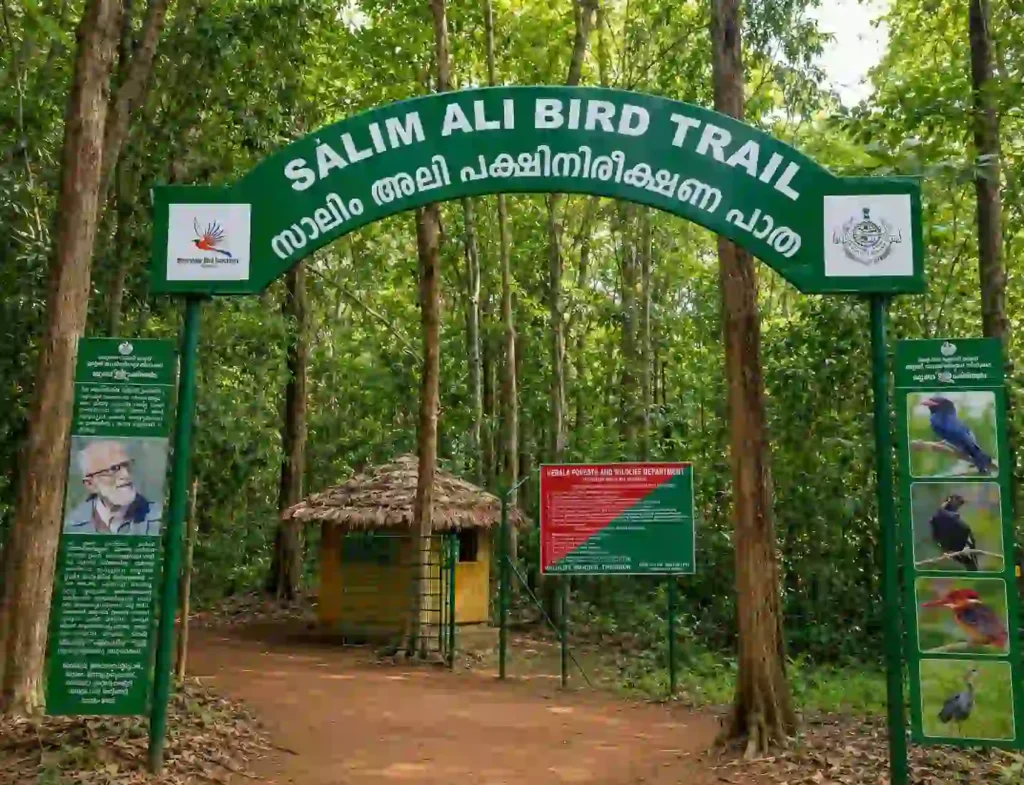 thattekad bird sanctuary-cleaned image