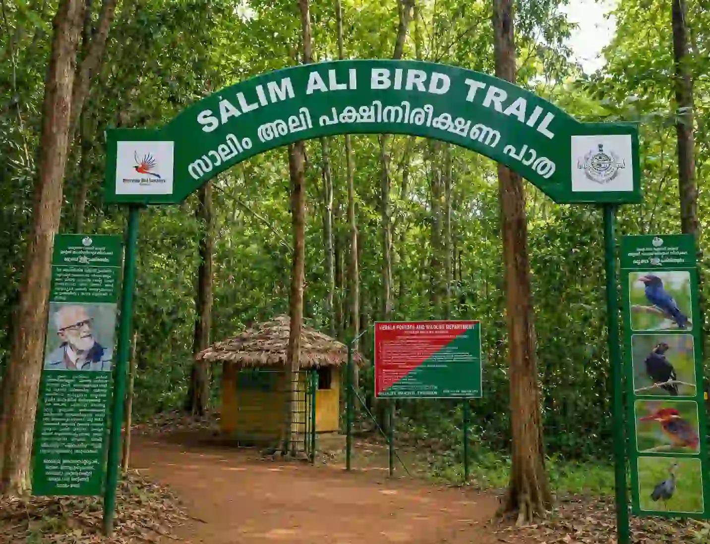 thattekad bird sanctuary-cleaned image